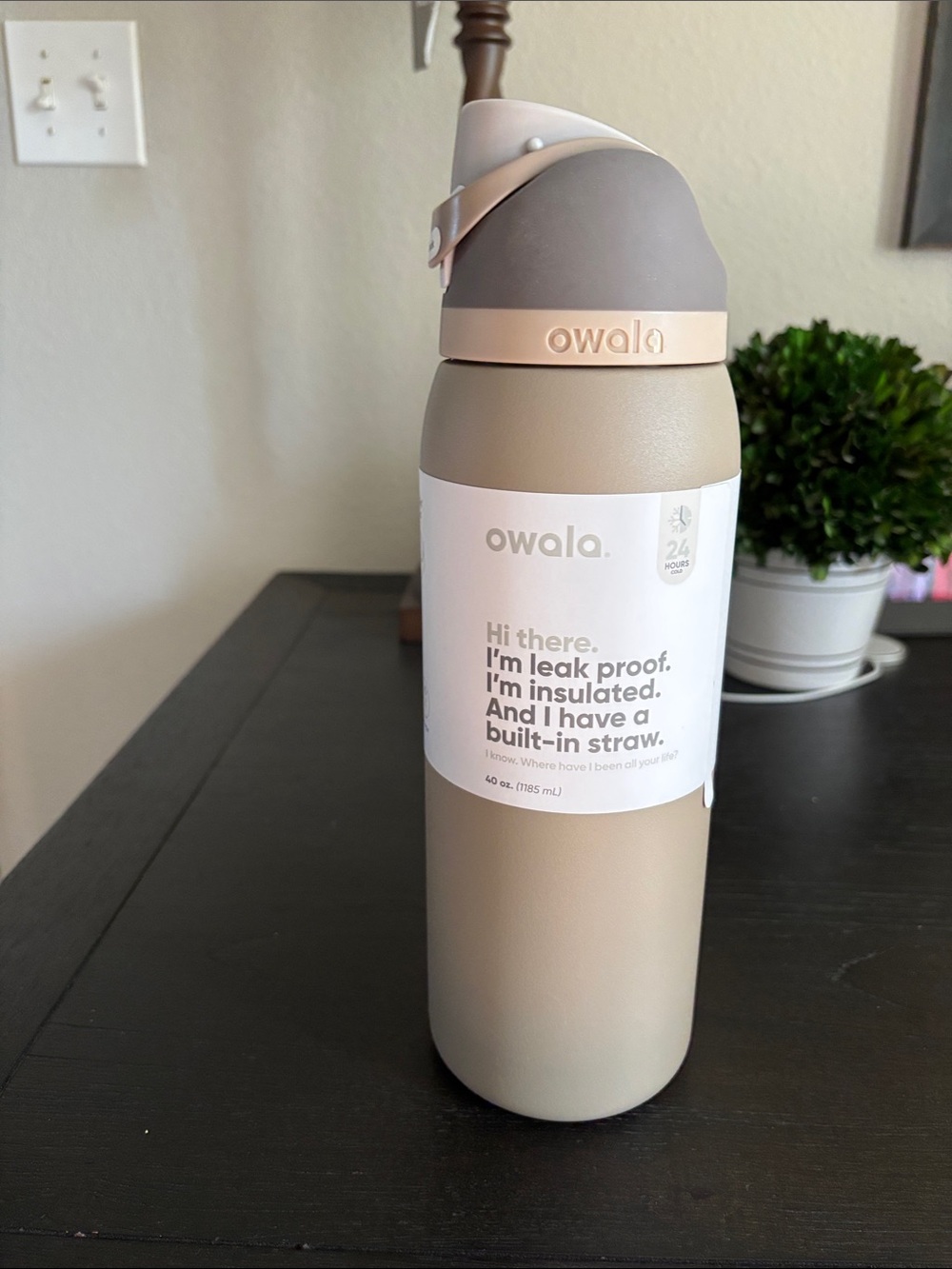 Owala Insulated Bottle in Taupe & Sand